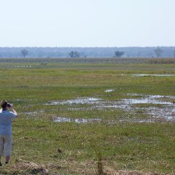 Mahango Game Reserve, Namibia, 25 Aug 09