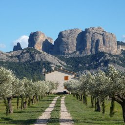 Arnes, Terra Alta, Terres de l'Ebre, 4 April 2010  