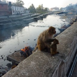 Pashupatinath, Bagmati River Cremation Ghats, 27 Oct 2010