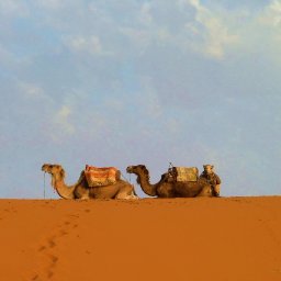 Camel Trek, Erg Chebbi, 23 Jun 2011