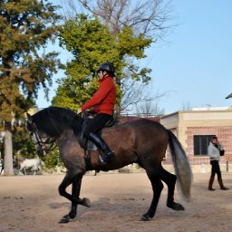 DSC_0243.JPG