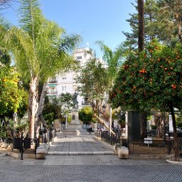 DSC_0312.JPG