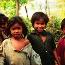 Terai, Nepal