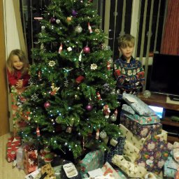 Immy and Seb and the Christmas tree